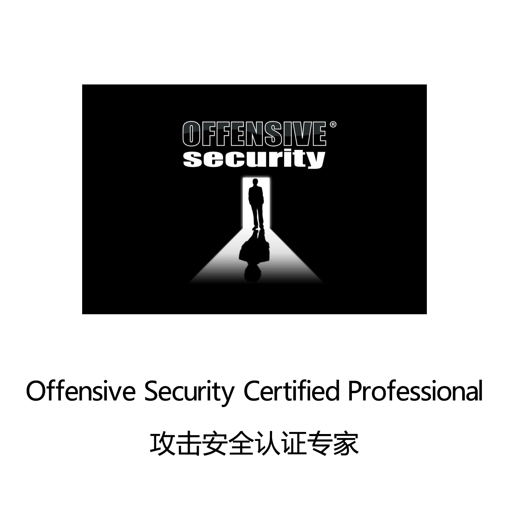 攻击安全认证专家